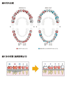お口の健康ファイル(2)